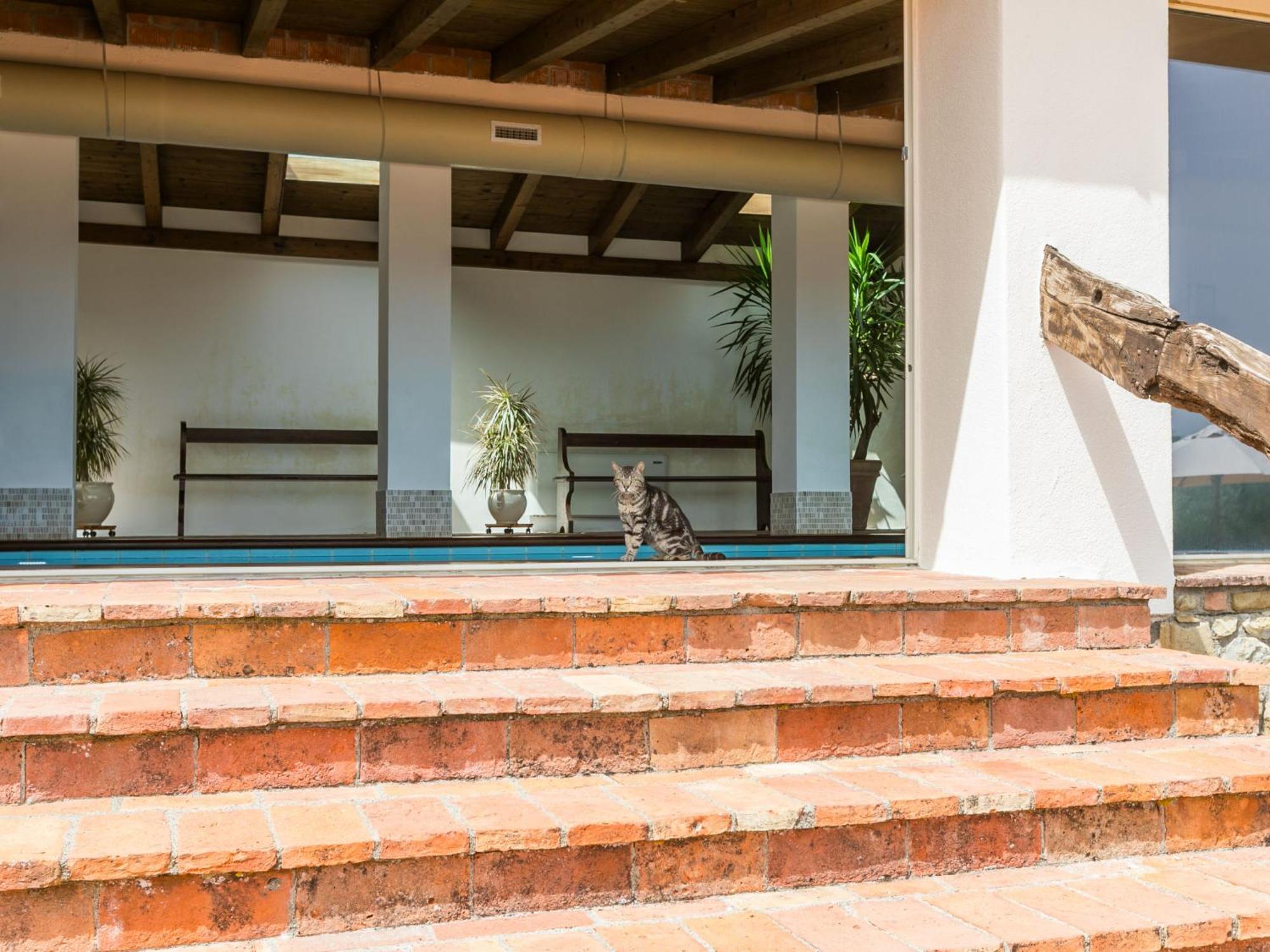Villa Locazione Turistica Ciliegiolo Cinigiano Esterno foto